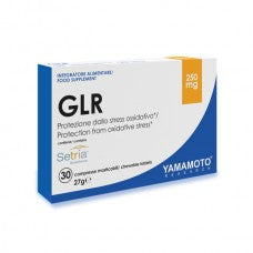 Yamamoto GLR
