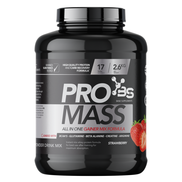Basic PRO Mass- gejner jagoda 2.6kg