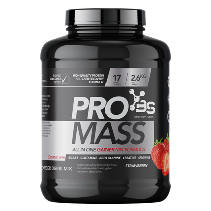 Basic PRO Mass- gejner jagoda 2.6kg